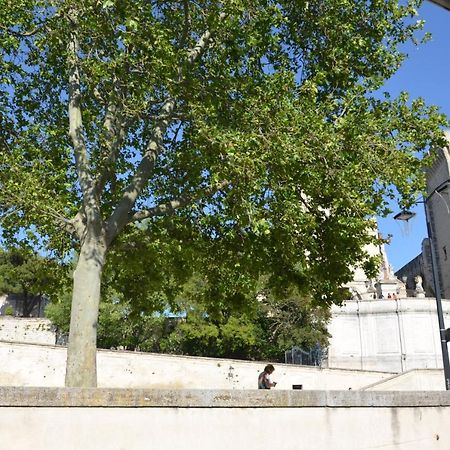 Face Au Palais Des Papes Leilighet Avignon Eksteriør bilde