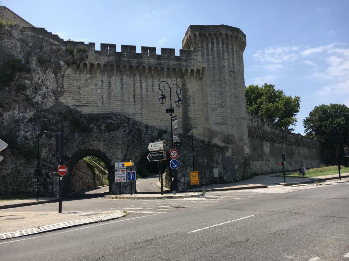 Face Au Palais Des Papes Leilighet Avignon Eksteriør bilde
