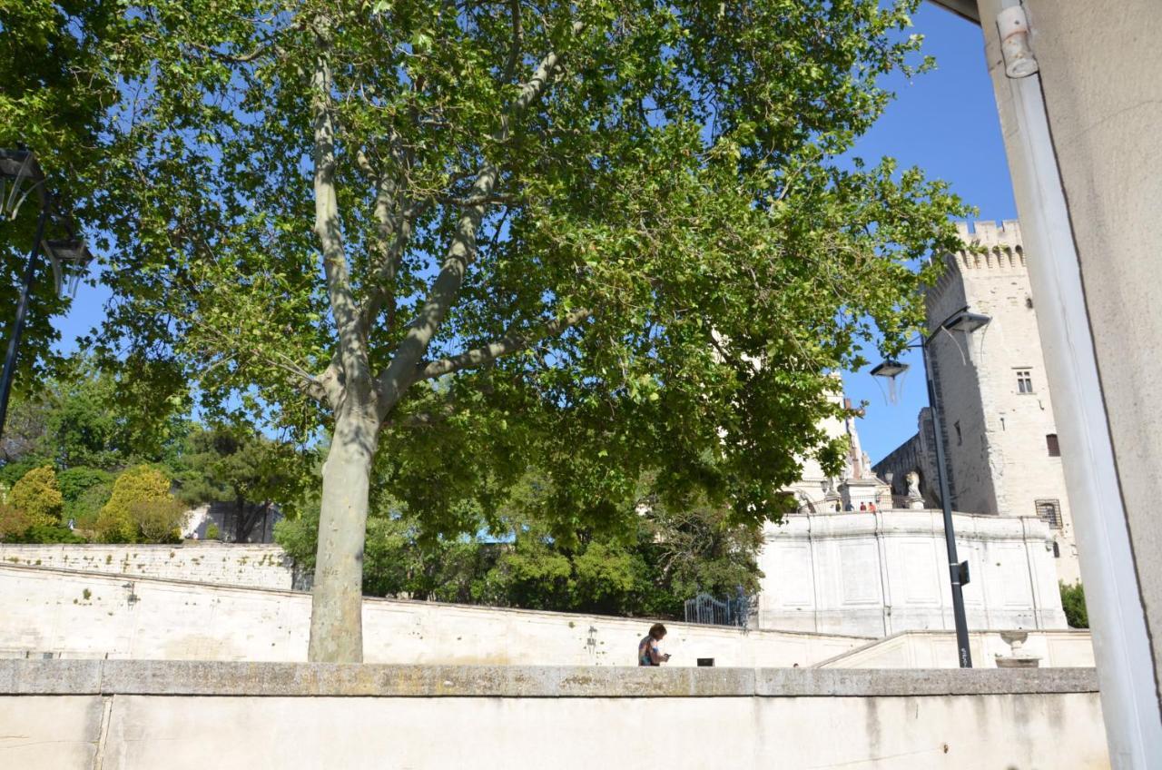 Face Au Palais Des Papes Leilighet Avignon Eksteriør bilde